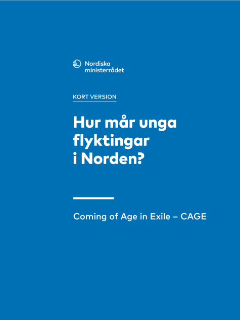 Rapportens omslag i blått med vit text