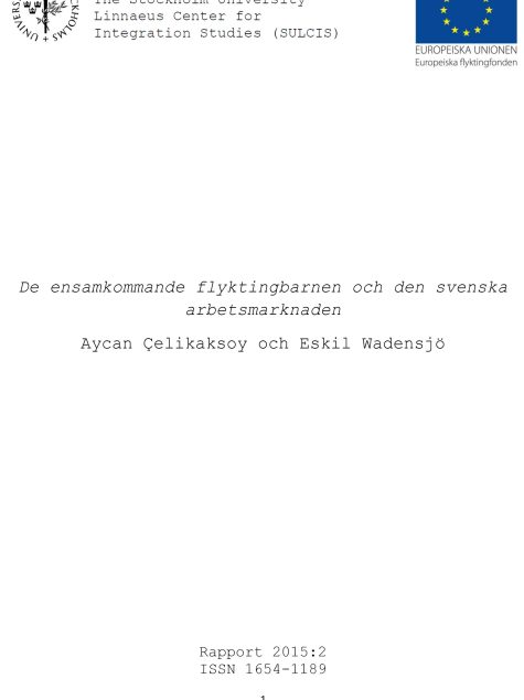Rapportomslag med vit bakgrund och svart text