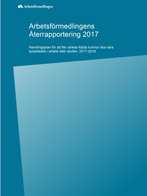 Rapportomslag med blå bakgrund