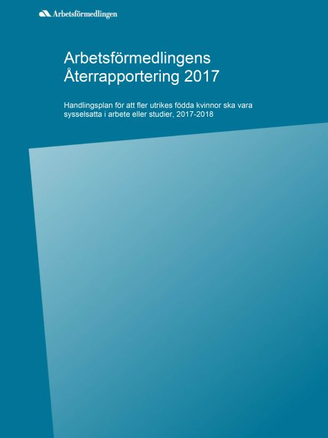 Rapportomslag med blå bakgrund