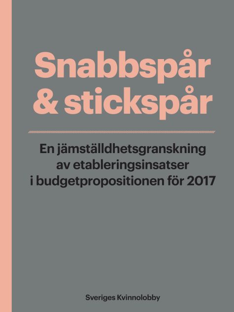 Rapport med grå bakgrund och rosa text