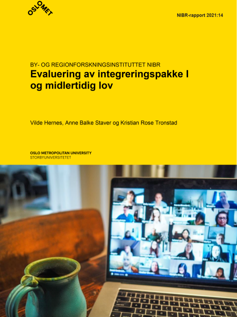 Rapportens omslag med en datorskärm som visar ett digitalmötem sitter på marken med händerna om knäna