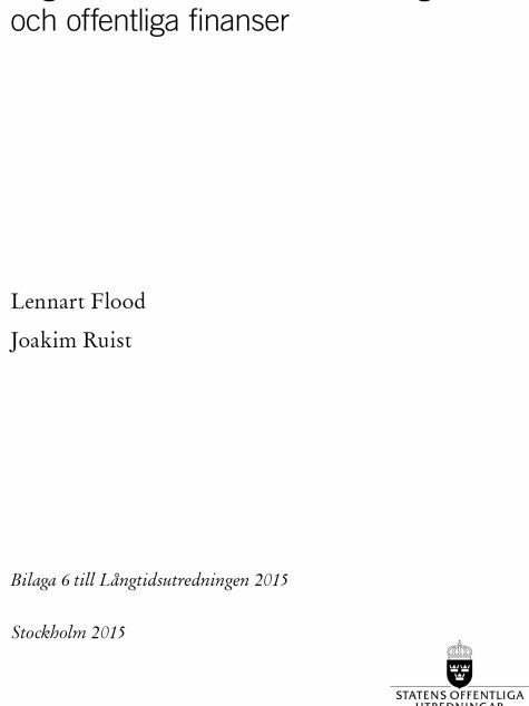 Rapportomslag med vit bakgrund och svart text