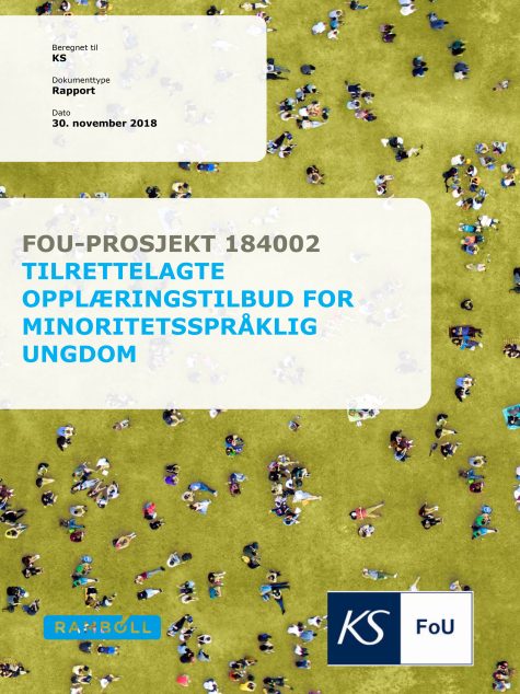 Omslag med bild med fågelperspektiv på personer på gräsmatta